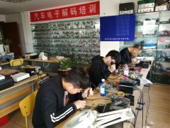操白虎B